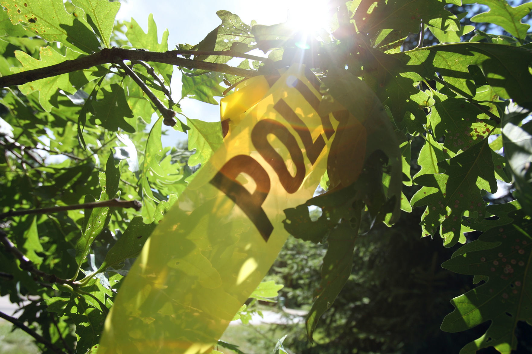 Police tape on Schneider Road